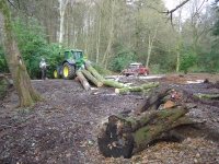  bit more winching on a day with less snow